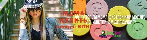 шишки Новодвинск