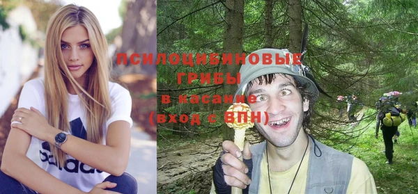 spice Балабаново