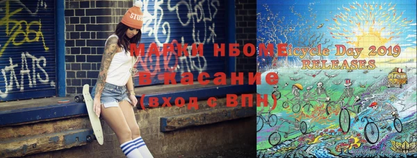 прущие грибы Новозыбков