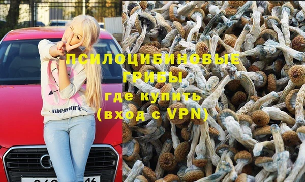 ПСИЛОЦИБИНОВЫЕ ГРИБЫ Балахна