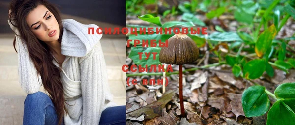 дживик Аркадак