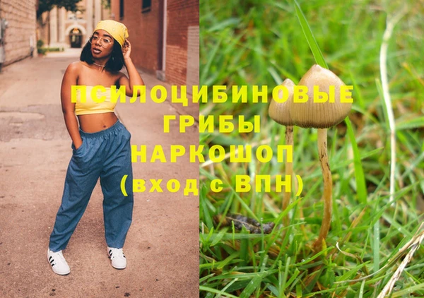 дживик Аркадак