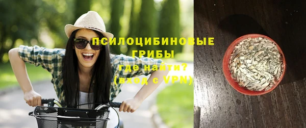 ПСИЛОЦИБИНОВЫЕ ГРИБЫ Балахна